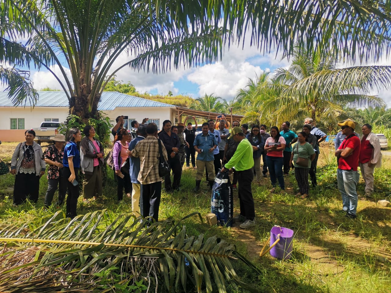 Dayak Oil Palm Planters Association Urges EU to Support Indigenous Farmers